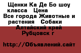 Щенки Ка Де Бо шоу класса › Цена ­ 60 000 - Все города Животные и растения » Собаки   . Алтайский край,Рубцовск г.